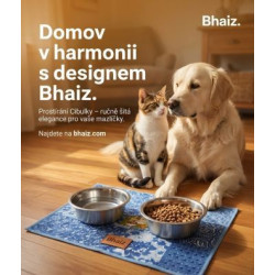 Prostírání pro psy