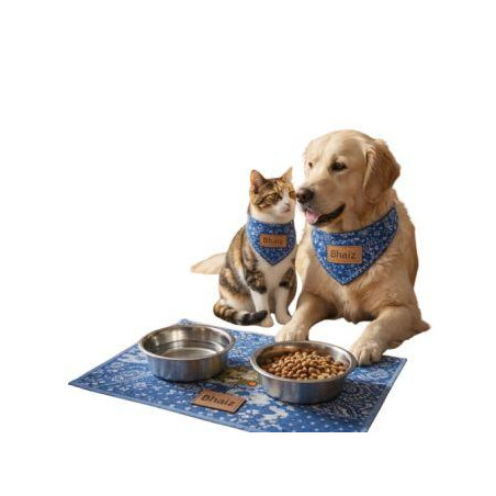 Domov_s_kulturou_stejné Bhaiz