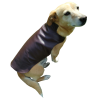 Dog Kožený Kostým