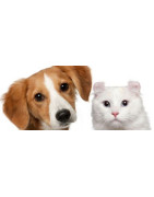 Mazlíčky Naše | Stylové doplňky a výbava pro psy a kočky | BHAIZ